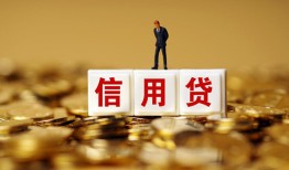深圳龙华区哪里可以民间借贷-深圳龙华区私人借钱当天拿钱-深圳龙华区贷款联系电话