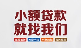 深圳龙华区小额短借-深圳龙华区私人借贷平台-深圳龙华区个人借钱
