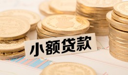 深圳龙华区哪里有小额贷款-深圳龙华区身份证贷款平台-深圳龙华区民间短借
